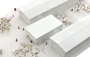 00_BRAUN_VORSCHAU